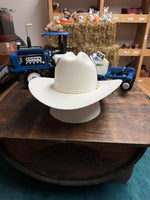Load image into Gallery viewer, Tombstone 20X Chaparral white

