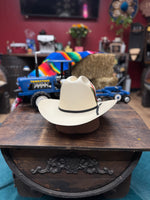 Load image into Gallery viewer, Tombstone 15X Johnson
