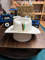 Load image into Gallery viewer, Tombstone 20X Chaparral white
