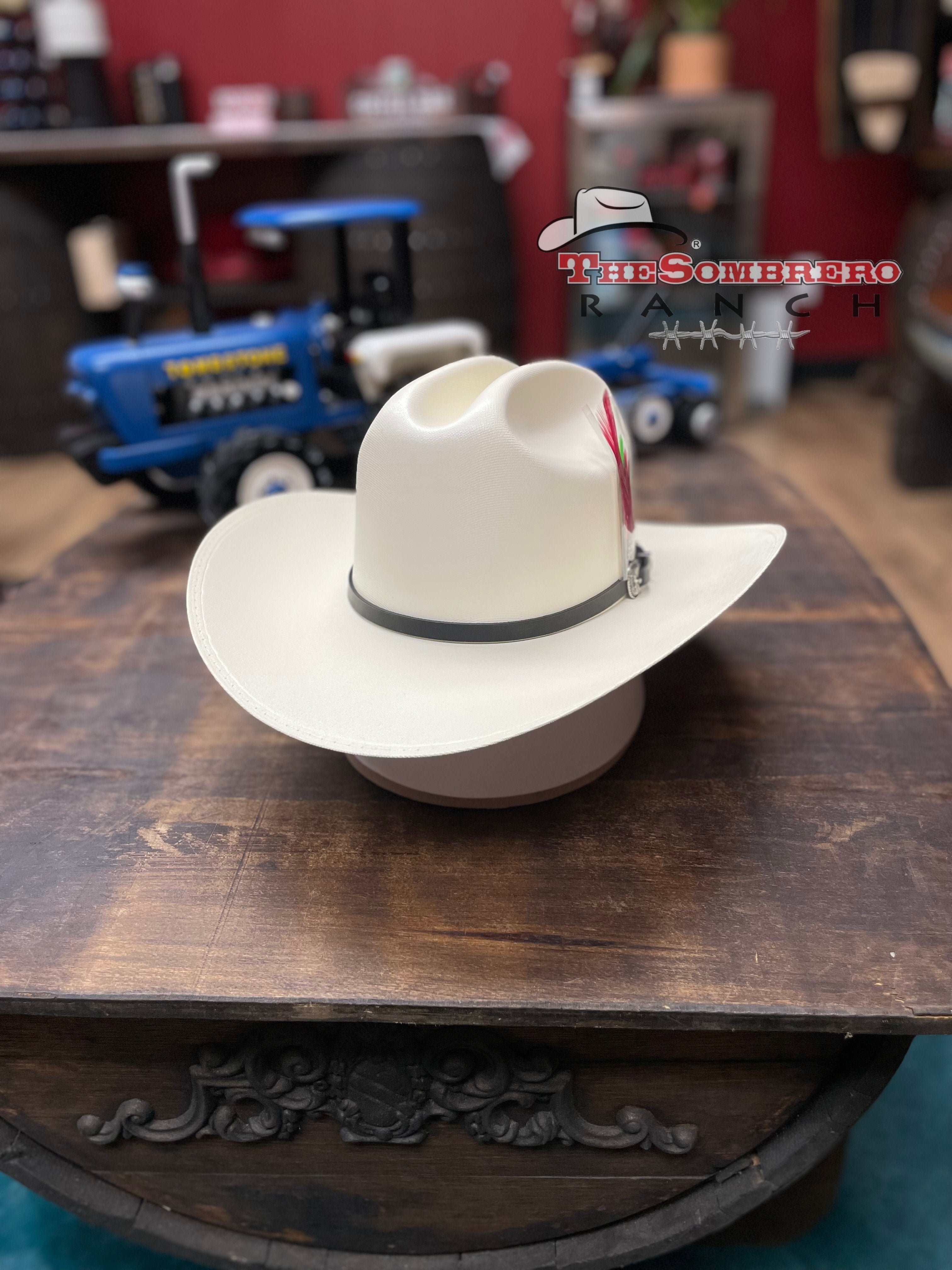 Chapeau de Cowboy Mexicain en livraison gratuite | Économisez 30% sur Chapeau de Cowboy Mexicain en livraison gratuite | Économisez 30% sur